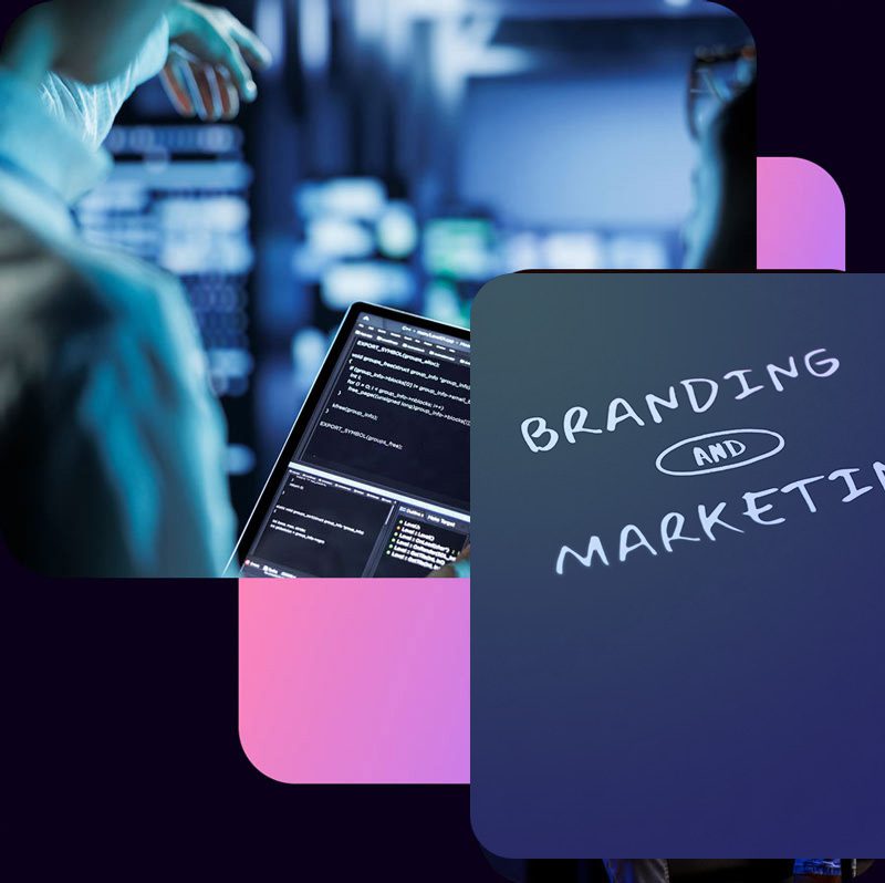 Zimolvediba un SEO optimizacija Smart SEO Design