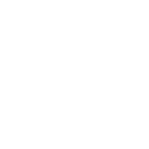 Kalmes Sakne logo grey