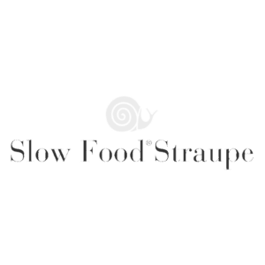 SFS logo grey